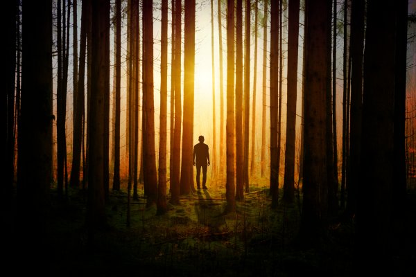 Man coming out of dark woods into the light.